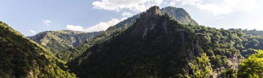 User banner image